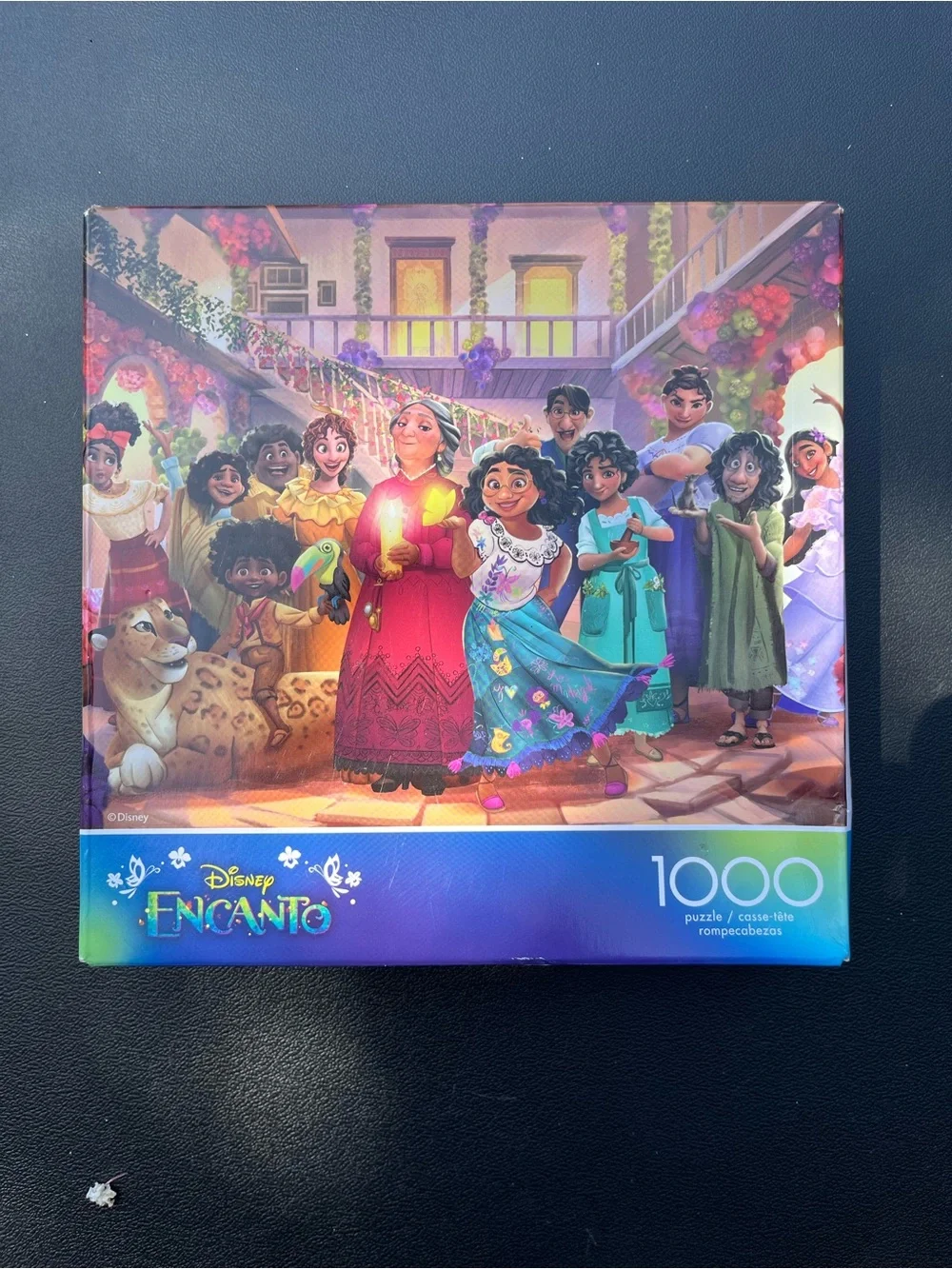 DISNEY'S ENCANTO FAMILY PORTRAIT 1000 Piece Puzzle